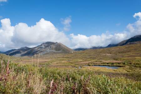 Kanada & Alaska // Reisebericht // Teil - 1- die Bilder 320