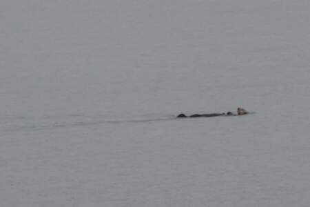 Alaska Reise | Aussergewöhnliche Reise | Teil 2 - die Bilder 47