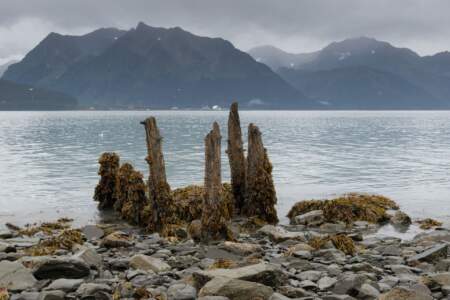 Alaska Reise | Aussergewöhnliche Reise | Teil 2 - die Bilder 55