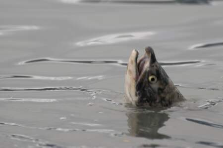 Alaska Reise | Aussergewöhnliche Reise | Teil 2 - die Bilder 68