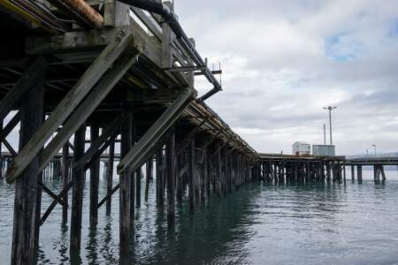 Alaska Reise | Aussergewöhnliche Reise | Teil 2 - die Bilder 91