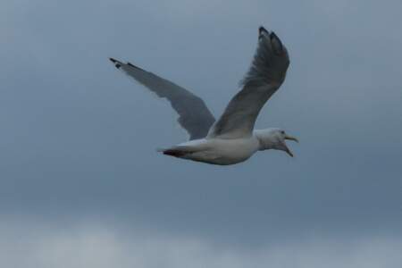 Alaska Reise | Aussergewöhnliche Reise | Teil 2 - die Bilder 95