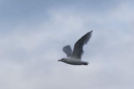 Alaska Reise | Aussergewöhnliche Reise | Teil 2 - die Bilder 109