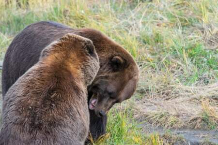 Alaska Reise | Aussergewöhnliche Reise | Teil 2 - die Bilder 272