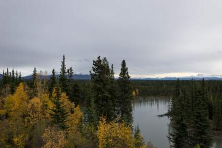 Alaska Reise | Aussergewöhnliche Reise | Teil 2 - die Bilder 344