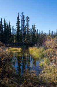 Alaska Reise | Aussergewöhnliche Reise | Teil 2 - die Bilder 423