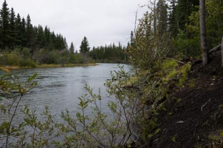 Kanada & Alaska // Reisebericht // Teil - 1- die Bilder 25