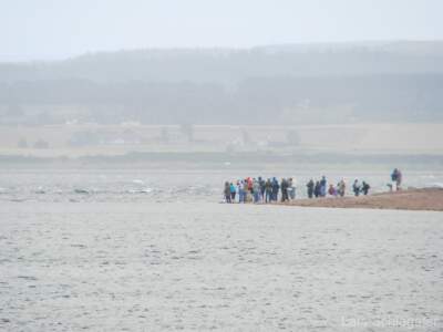 Schottland Rundreise 2008 | Teil 2 14