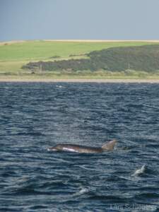 Schottland Rundreise 2008 | Teil 2 18