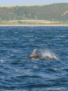Schottland Rundreise 2008 | Teil 2 19