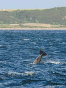 Schottland Rundreise 2008 | Teil 2 20