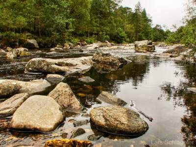 Schottland Rundreise 2008 | Teil 2 31