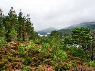 Schottland Rundreise 2008 | Teil 2 32 Reisebericht Schottland
