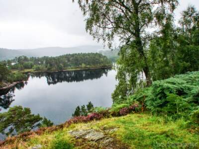Schottland Rundreise 2008 | Teil 2 33