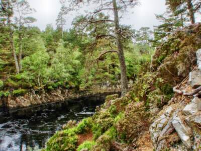 Schottland Rundreise 2008 | Teil 2 36