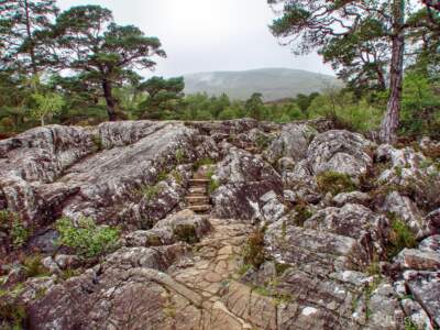 Schottland Rundreise 2008 | Teil 2 38