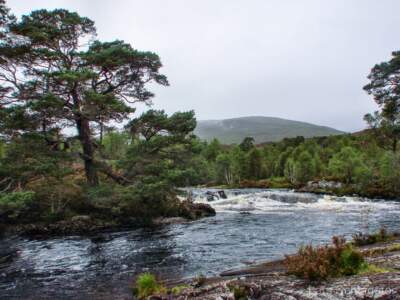 Schottland Rundreise 2008 | Teil 2 39 Reisebericht Schottland