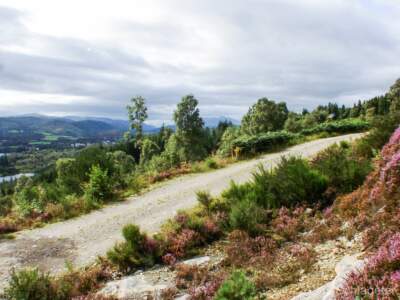 Schottland Rundreise 2008 | Teil 2 42