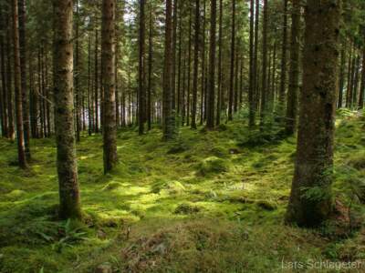 Schottland Rundreise 2008 | Teil 2 44