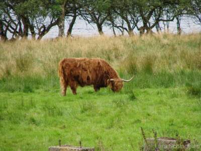 Schottland Rundreise 2008 | Teil 2 52