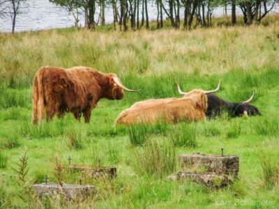 Schottland Rundreise 2008 | Teil 2 53