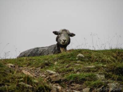Schottland Rundreise 2008 | Teil 2 67