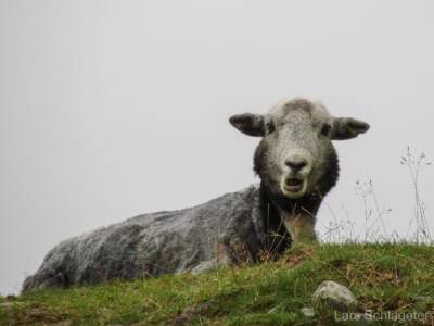 Schottland Rundreise 2008 | Teil 2 68
