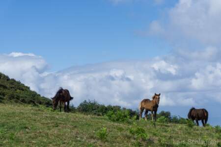 Jakobsweg Küstenweg - Eine aussergewöhnliche Wanderung - Tag 3-4 16