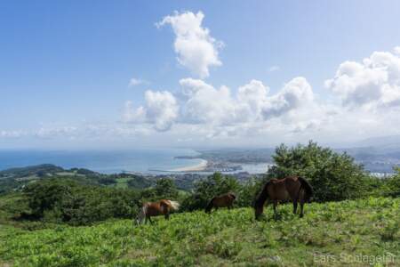 Jakobsweg Küstenweg - Eine aussergewöhnliche Wanderung - Tag 3-4 17