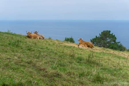 Jakobsweg Küstenweg - eine aussergewöhnliche Reise - Tag 5-6 22