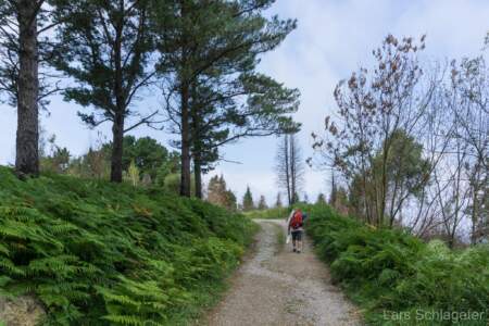 Jakobsweg Küstenweg - eine aussergewöhnliche Reise - Tag 5-6 24