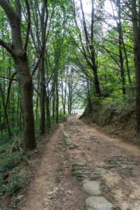 Jakobsweg Küstenweg - eine aussergewöhnliche Reise - Tag 5-6 11