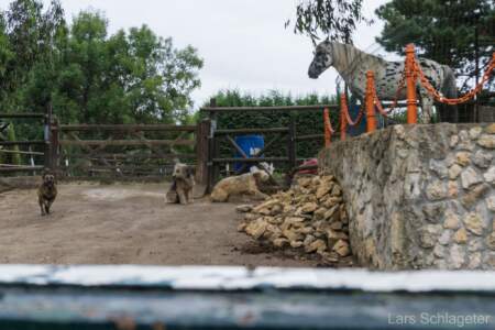 Camino del Norte Tag 14-17 (Reisebericht Jakobsweg) 46