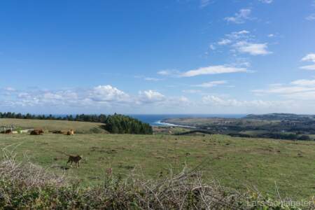 Camino del Norte Tag 18-22 (Reisebericht Jakobsweg Küstenweg) 37