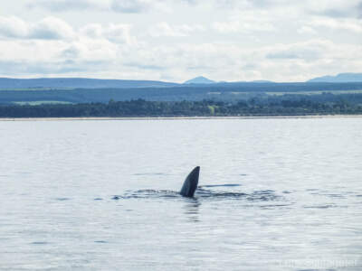 Schottland 2012 - Teil 1 62
