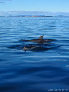 Schottland 2012 - Teil 1 67