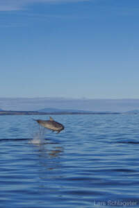 Schottland 2012 - Teil 1 68