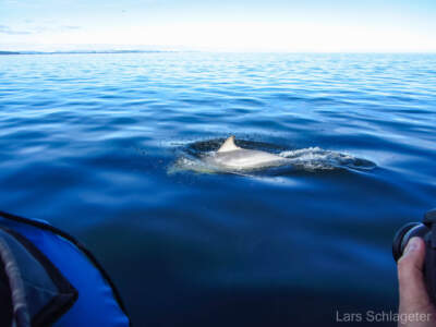 Schottland 2012 - Teil 1 69 Reisebericht Schottland 2012