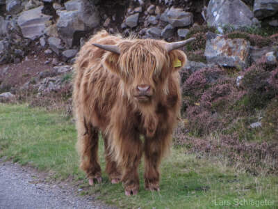 Schottland 2012 - Teil 1 101