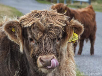 Schottland 2012 - Teil 1 103