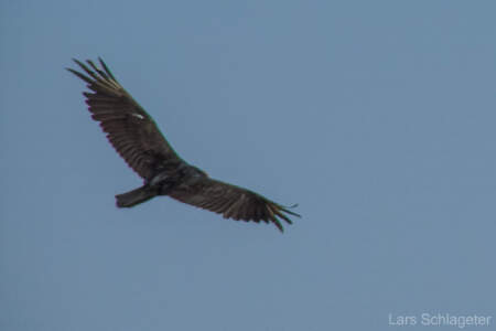 USA Reisebericht 2011 - Teil 4 15