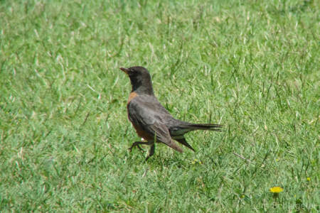 USA Reisebericht 2011 - Teil 4 16