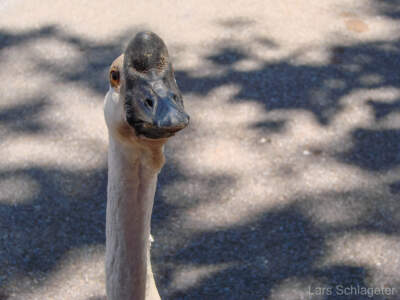 USA Reisebericht 2011 - Teil 4 17