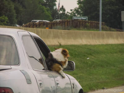 USA Reisebericht 2011 - Teil 4 18