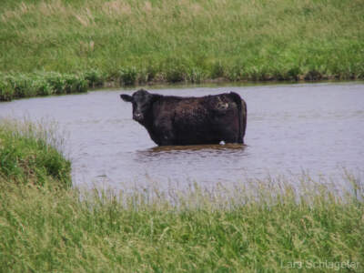 USA Reisebericht 2011 - Teil 4 19