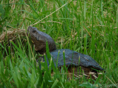 USA Reisebericht 2011 - Teil 4 22