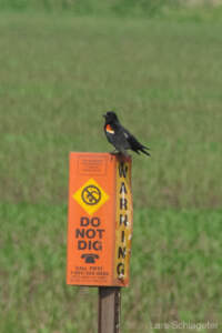 USA Reisebericht 2011 - Teil 4 27 Reisebericht USA