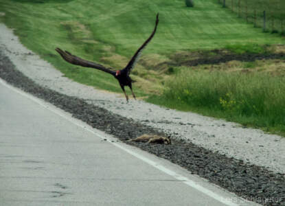 USA Reisebericht 2011 - Teil 4 28