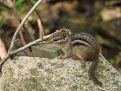 USA Reisebericht 2011 - Teil 4 30