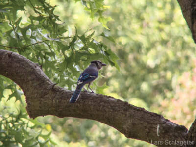 USA Reisebericht 2011 - Teil 4 32